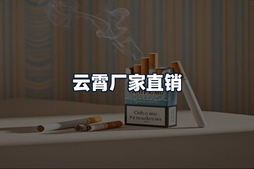 云霄厂家直销